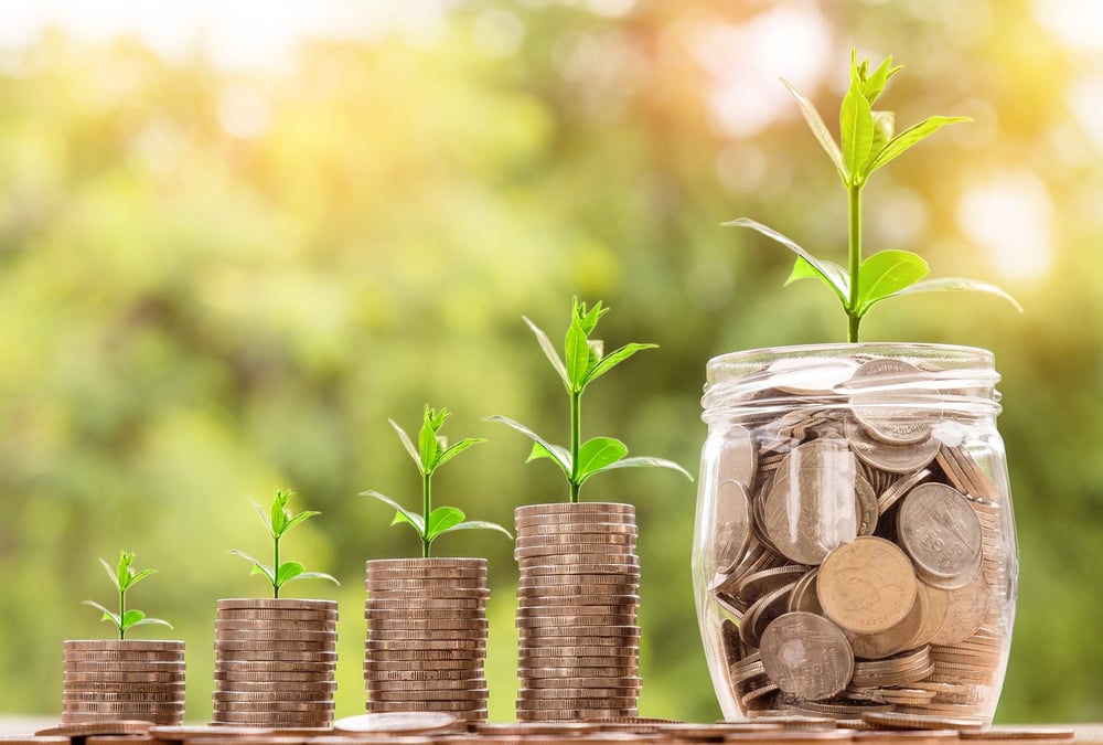 piles of coins with plant growing out